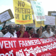 Image for article titled The GMO Mass Suicides Are a Myth